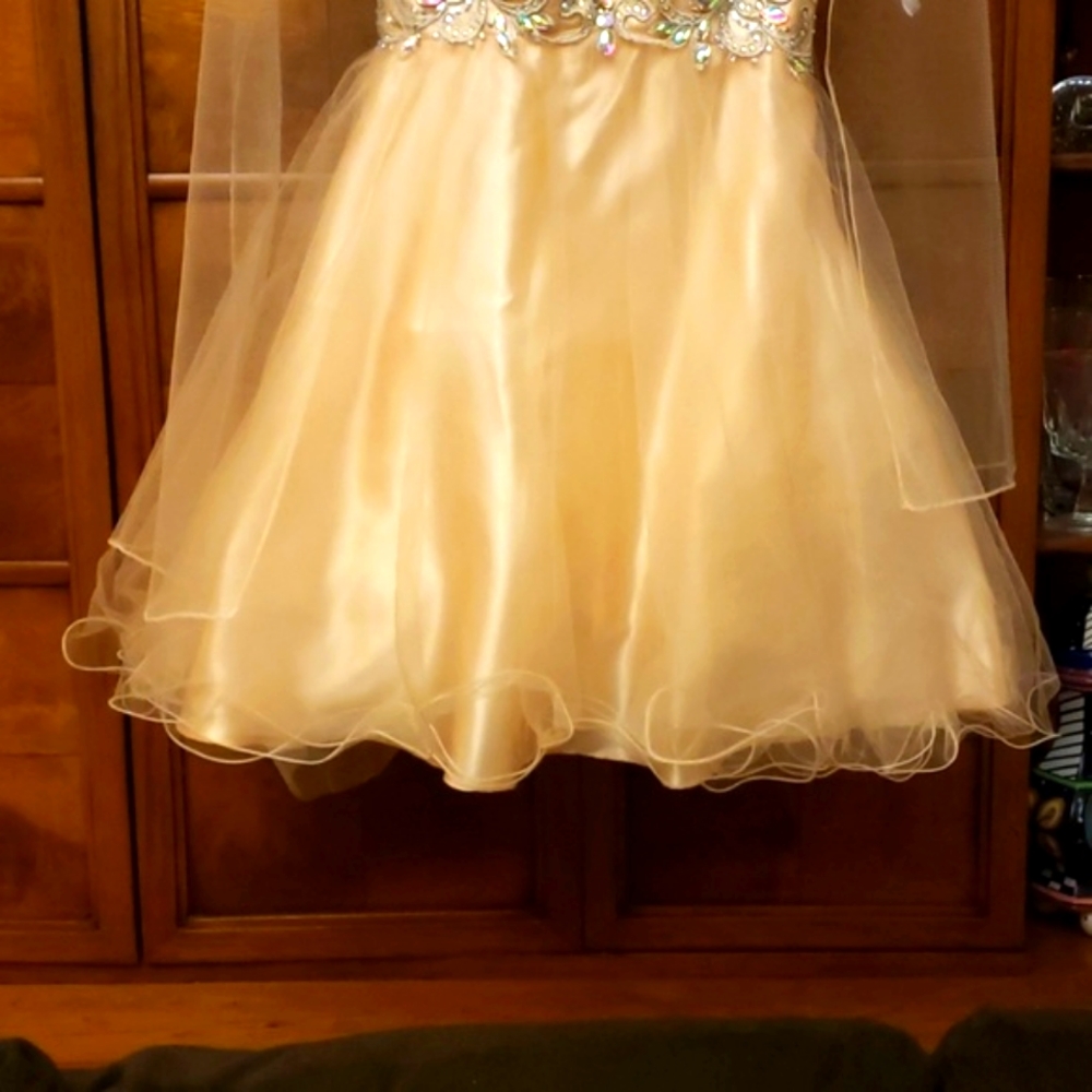 Dancing Queen Sequin Applique Dress Size XS - Picture 6 of 8